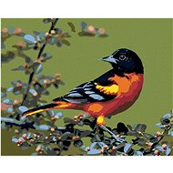 Diamondi - CARDINAL BLACK-HEADED, 40x50 cm, without frame and without shutting off the canvas - Diamond Painting