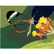 Diamondi - MOTION AND FLOWERS, 40x50 cm, without frame and without canvas shut off - Diamond Painting