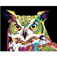 Diamondi - COLOURED OWL, 40x50 cm, without frame and without canvas shut off - Diamond Painting