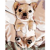 Diamondi - Diamond painting - LITTLE PUPPIES, 40x50 cm, without frame and without canvas shut off - Diamond Painting