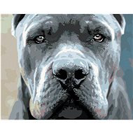 Diamondi - Diamond painting - CANE CORSO - Diamond Painting