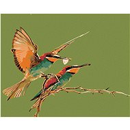 Diamondi - Diamond Painting - TWO COLIBRIERS - Diamond Painting