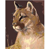 Diamondi - Diamond painting - PUMA - Diamond Painting