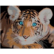 Diamondi - Diamond painting - TYPE OF BLUE EYES, 40x50 cm, without frame and without canvas - Diamond Painting