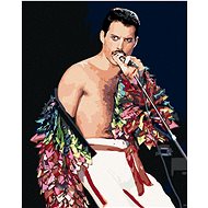 Diamondi - FREDDIE MERCURY, 40x50 cm, without frame and without canvas shut off - Diamond Painting