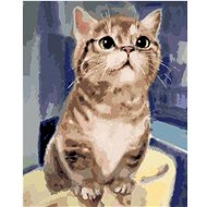 Diamondi - Diamond painting - Curious Cat - Diamond Painting
