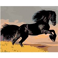 Diamondi - BLACK HORSE, 40x50 cm, stretched canvas on frame - Diamond Painting
