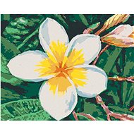 Diamondi - HAWAIIAN FLOWER, 40x50 cm, without frame and without shutting off the canvas - Diamond Painting
