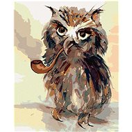 Diamondi - Owl with Fairy, 40x50 cm, off canvas on frame - Diamond Painting