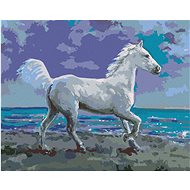 Diamondi - WHITE HORSE ON THE BORDER, 40x50 cm, stretched canvas on frame - Diamond Painting