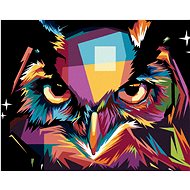 Diamondi - PORTRAIT OF A colourFUL OWL, 40x50 cm, stretched canvas on frame - Diamond Painting