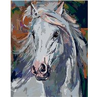 Diamondi - WHITE HORSE WITH A ROUNDED HEAT, 40x50 cm, off canvas on frame - Diamond Painting