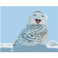 Diamondi - WATCHING WHITE OWL, 40x50 cm, stretched canvas on frame - Diamond Painting