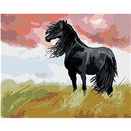 Diamondi - BLACK HORSE ON A BOW, 40x50 cm, without frame and without canvas shut off - Diamond Painting