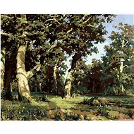 Diamondi - Oak Grove (IVAN SHISHKIN), 40x50 cm, stretched canvas on frame - Diamond Painting