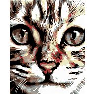 Diamondi - Diamond painting - MOURED CAT - Diamond Painting