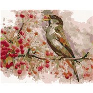 Diamondi - A DRAGON AND SPARROWS, 40x50 cm, stretched canvas on frame - Diamond Painting