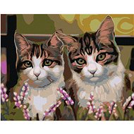 Diamondi - CATS IN THE TRAP, 40x50 cm, off canvas on frame - Diamond Painting