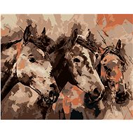 Diamondi - PAINTING HORSES IN BLACK, 40x50 cm, stretched canvas on frame - Diamond Painting
