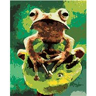 Diamondi - Frog in the Forest, 40x50 cm, without frame and without canvas shut off - Diamond Painting