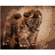 Diamondi - CHOW CHOW PUPPET, 40x50 cm, stretched canvas on frame - Diamond Painting