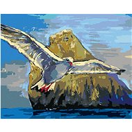 Diamondi - RACEK FLYING AROUND THE STONE, 40x50 cm, without frame and without canvas shut off - Diamond Painting