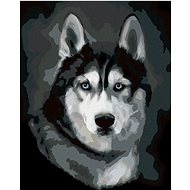 Diamondi - Diamond Painting - HUSKY PORTRAIT, 40x50 cm, Off canvas on frame - Diamond Painting