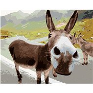 Diamondi - DONKEY ON THE ROAD, 40x50 cm, off canvas on frame - Diamond Painting