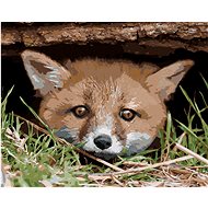 Diamondi - Diamond painting - FOX UNDER THE TREE - Diamond Painting