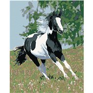 Diamondi - Diamond painting - RUNNING STRAKER - Diamond Painting