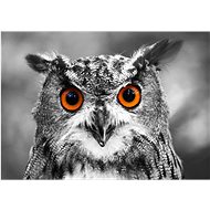ENJOY Puzzle Curious Owl 1000 pieces - Jigsaw Puzzle