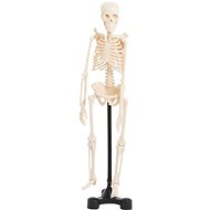TickIt Skeleton small - Thematic Toy Set