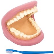 TickIt Giant teeth and toothbrush - Educational Toy