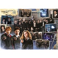 TREFL Puzzle Harry Potter: Dumbledore's Army 934 pieces - Jigsaw Puzzle