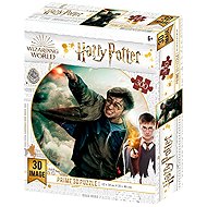 PRIME 3D Puzzle Harry Potter Harry 3D 300 pieces - Jigsaw Puzzle