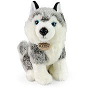 RAPPA Plush Husky Sitting 30 cm - Soft Toy