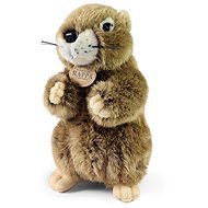 Rappa Plush Marmot 23 cm, Eco-Friendly - Soft Toy