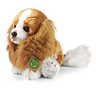 RAPPA Plush Cavalier King Charles Spaniel 28 cm - Soft Toy
