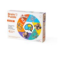 RecentToys Brain Puzzle - Set of 6 pieces - Brain Teaser