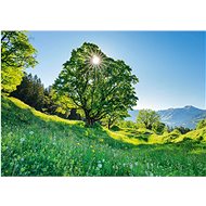 Schmidt Puzzle Platan 1000 pieces - Jigsaw Puzzle