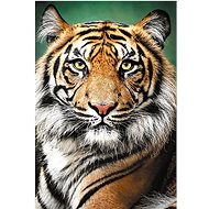 Trefl Tiger Portrait Puzzle 1500 pieces - Jigsaw Puzzle