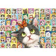 Schmidt Puzzle Kočičí výrazy 1000 dílků - Puzzle