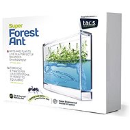 Super Forest Ant Ecoterrarium - Experiment Kit