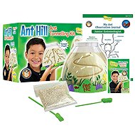 Insect Lore Ants - AntHill - Experiment Kit