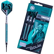 Windson Champion Saddleback 20 g Tungsten Set - Darts