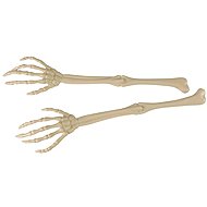 RAPPA Skeleton hand decoration, skeleton, Halloween, 36 cm, 2 pcs - Decoration