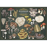 TREFL Puzzle Premium Plus Finders Keepers: mushrooms 500 pieces - Jigsaw Puzzle