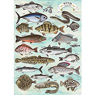 TREFL Puzzle Premium Plus Finders Keepers: Fish 500 pieces - Jigsaw Puzzle