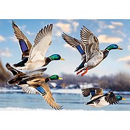 TREFL Puzzle Premium Plus: Flight of the Wild Ducks 1000 pieces - Jigsaw Puzzle