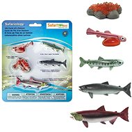 Safari Ltd. Life Cycle - Salmon - Figure